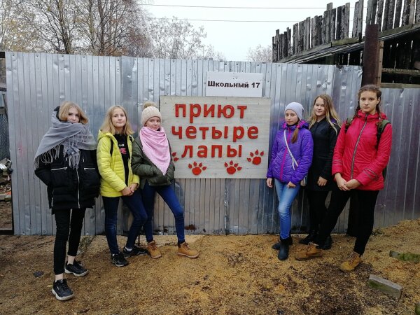 Помощь братьям нашим меньшим