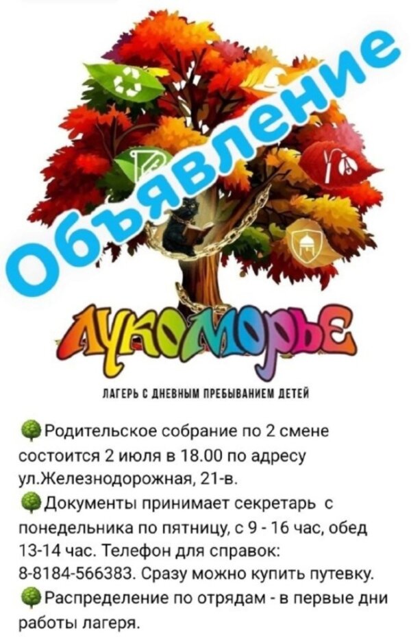 Летний лагерь с дневным пребыванием