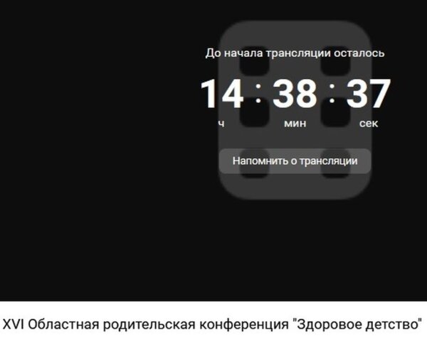 XVI Областная родительская конференция «Здоровое детство»