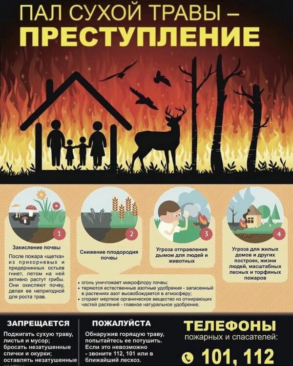 Пал сухой травы - преступление!