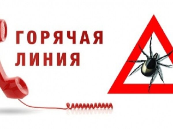 Открыта горячая линия профилактики клещевого вирусного энцефалита ⚡